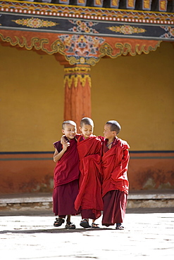 Young Buddhist monks, Paro Dzong, Paro, Bhutan, Asia