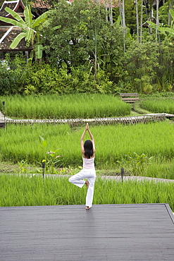 Thai Woman at Mandarin Oriental Resort, Chiang Mai, Thailand, Southeast Asia, Asia