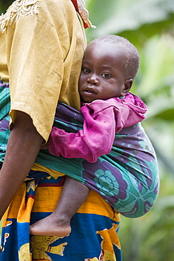 Village of Masango, Province of Cibitoke, Burundi, Africa