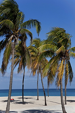 Playa del Este, Havana, Cuba, West Indies, Central America