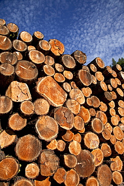 Log pile, Val d'Herens, Valais, Switzerland, Europe