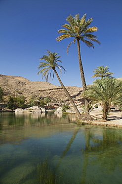 Wadi Bani Khalid, an oasis in the desert, Oman, Middle East