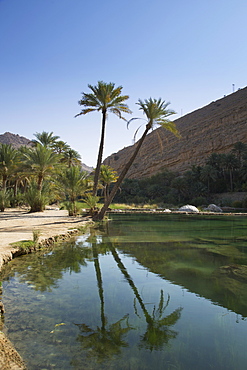 Wadi Bani Khalid, an oasis in the desert, Oman, Middle East