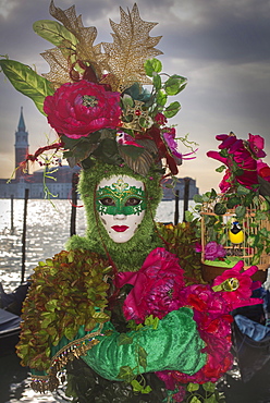 Mask during Venice Carnival, Venice, UNESCO World Heritage Site, Veneto, Italy, Europe