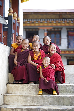 Group of young Buddhist monks, Karchu Dratsang Monastery, Jankar, Bumthang, Bhutan, Asia