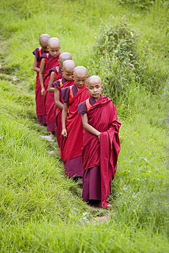 Buddhist monks from Karchu Dratsang Monastery, Jankar, Bumthang, Bhutan, Asia