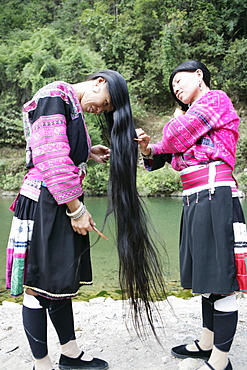 Women of Yao minority (Longhair tribe), Longsheng terraced ricefields, Guilin, Guangxi Province, China, Asia