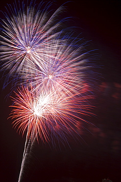 Fireworks celebrating the 4th of July, Miami, Florida, United States of America, North America