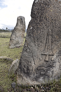 The mysterious site of Tiya, containing around 36 ancient stelae, UNESCO World Heritage Site, Tiya, Ethiopia, Africa