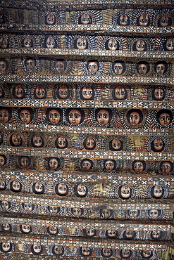 104 winged Ethiopian cherubs adorn the famous ceiling in Debre Berhan Selassie Church, Gondar, Ethiopia, Africa