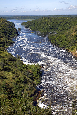 Murchison Falls, Murchison National Park, Uganda, East Africa, Africa