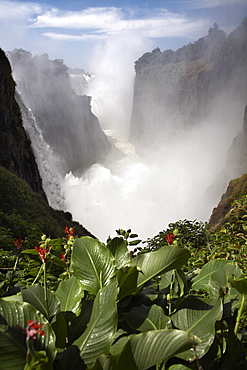 Victoria Falls, UNESCO World Heritage Site, Zimbabwe, Africa