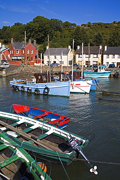 Ballyhack fishing village, County Wexford, Leinster, Republic of Ireland, Europe