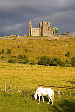 Rock of Cashel, Cashel Town, County Tipperary, Munster, Republic of Ireland, Europe