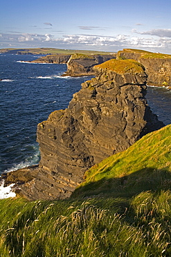 Cliffs near Kilkee, Loop Head, County Clare, Munster, Republic of Ireland, Europe