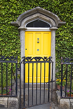 Ivy covered doorway, Town of Borris, County Carlow, Leinster, Republic of Ireland, Europe