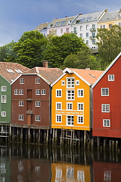 Warehouses on Bryggen waterfront in Old Town District, Trondheim, Nord-Trondelag Region, Norway, Scandinavia, Europe