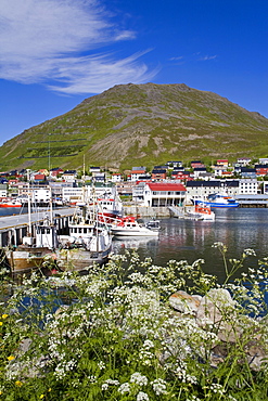 Honningsvag Port, Mageroya Island, Finnmark Region, Arctic Ocean, Norway, Scandinavia, Europe