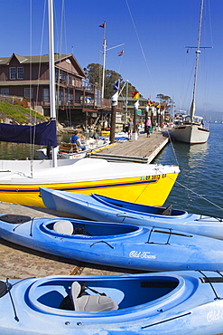 Kayak rental, Embarcadero, City of Morro Bay, San Luis Obispo County, California, United States of America, North America