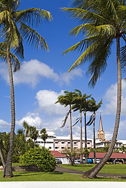 La Savane Park, Fort-de-France, Martinique, French Antilles, West Indies, Caribbean, Central America