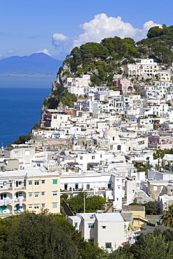 Capri town on Capri Island, Bay of Naples, Campania, Italy, Europe