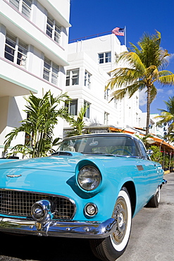 Avalon Hotel and classic car on South Beach, City of  Miami Beach, Florida, United States of America, North America