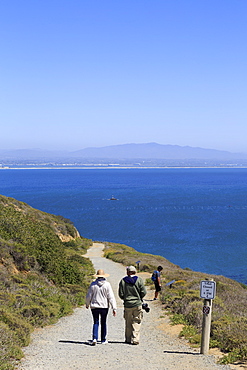 Bayside Trail, Cabrillo National Monument, San Diego, California, United States of America, North America 