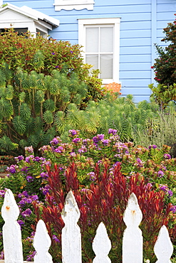 Garden in Mendocino, California, United States of America, North America