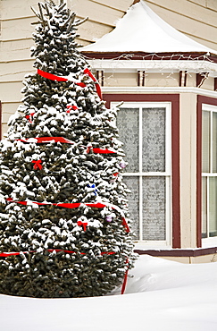 House with Christmas tree, Breckenridge, Rocky Mountains, Colorado, United States of America, North America