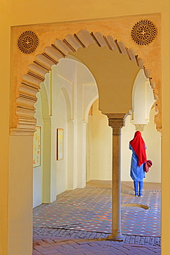 Alcazaba Palace, Malaga, Andalusia, Spain, Europe