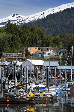 Thomas Basin boat harbor, Ketchikan, Alaska, United States of America, North America