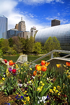 Myriad Botanical Gardens, Downtown Oklahoma City, Oklahoma, United States of America, North America