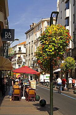 Rue d' Antibes, Cannes, Alpes Maritimes, Provence, Cote d'Azur, French Riviera, France, Europe