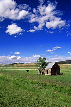 Farmland near Rapid City, South Dakota, United States of America, North America