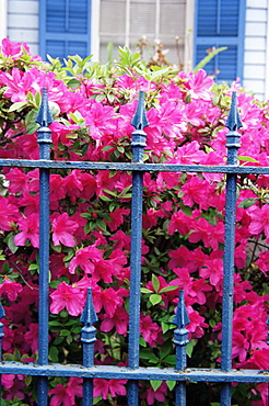 Fence detail, Garden District, New Orleans, United States of America, North America