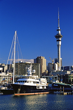 Hobson West Marina, Auckland, North Island, New Zealand, Pacific