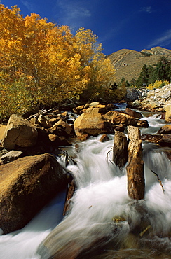 Bishop Creek, Eastern Sierra Mountains, Bishop, California, United States of America, North America