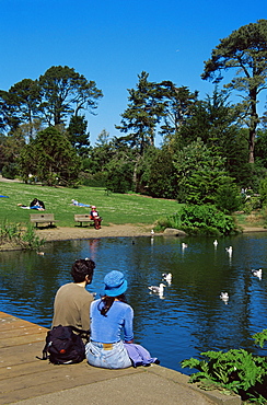 Botanical Gardens, Golden Gate Park, San Francisco, California, United States of America, North America