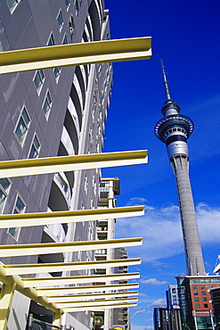 Sky Tower, Auckland, North Island, New Zealand, Pacific