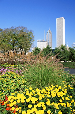 Amoco and Prudential towers seen from Grant Park, Chicago, Illinois, United States of America, North America