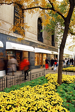 North Michigan Avenue, Chicago, Illinois, United States of America, North America