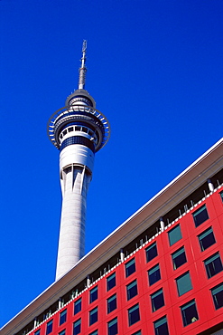 Sky Tower, Auckland, North Island, New Zealand, Pacific