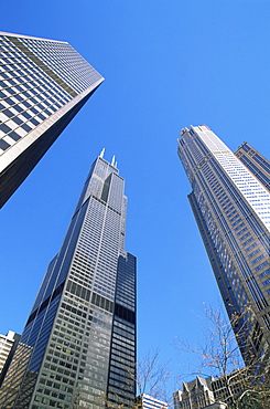 Sears Tower, Chicago, Illinois, United States of America, North America