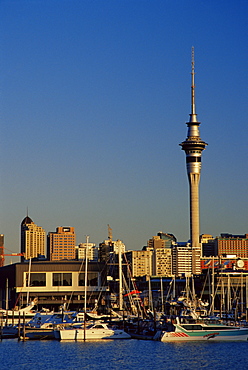 Sky Tower, Auckland, North Island, New Zealand, Pacific