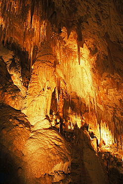 Fantasy Cave, Hamilton Parish, Bermuda, Central America