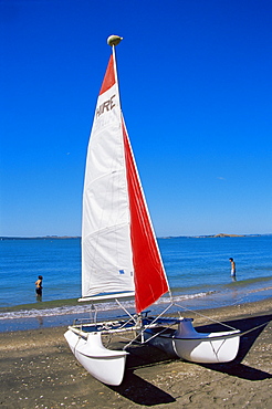 Mission Beach, Auckland, North Island, New Zealand, Pacific