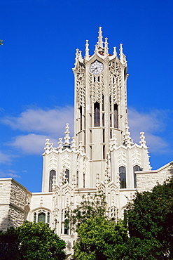 Old Arts Building and clock tower, University of Auckland, Auckland, North Island, New Zealand, Pacific