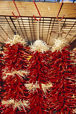 Chilli peppers, Santa Fe, New Mexico, United States of America, North America