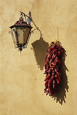 Chilli peppers and lamp, Taos, New Mexico, United States of America, North America