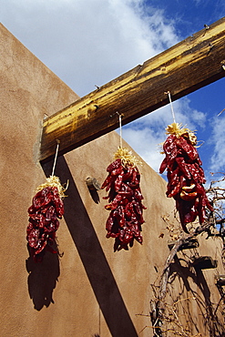 Chilli peppers, Old Town district, Albuquerque, New Mexico, United States of America, North America